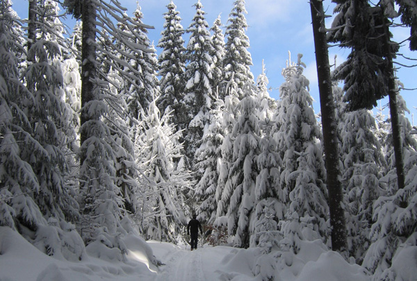 winterfreizeit klingenthal vogtland